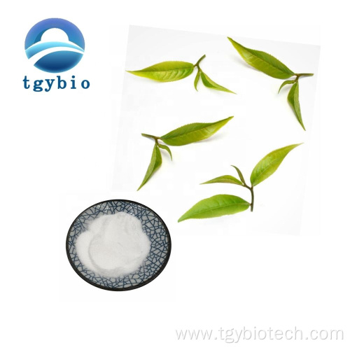 Top Quality l-theanine 99% 40% L theanine Powder